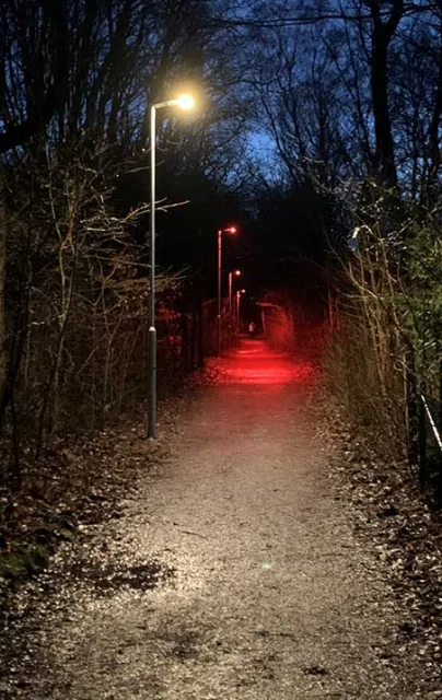 Smart lighting is reducing light pollution in Palsjo Skog nature trails